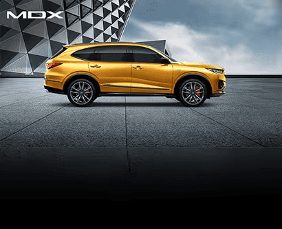 MDX23