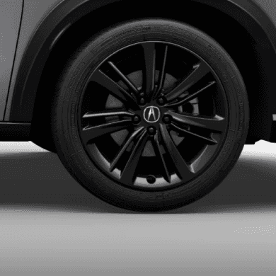 19-in Berlina Black Alloy Accessory
