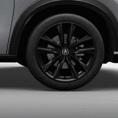 19-in Berlina Black Alloy