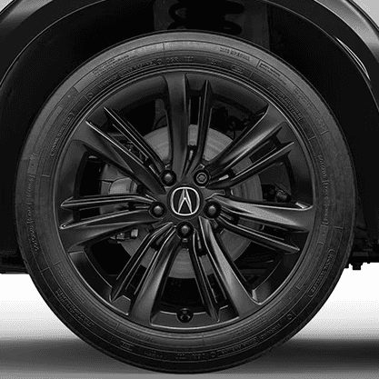 19-in Berlina Black Alloy Wheels