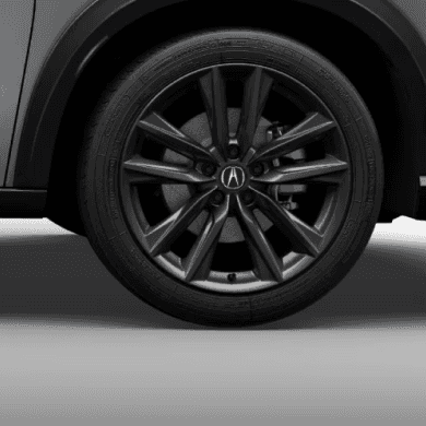 19-in Shark Gray Alloy