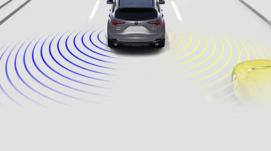 Blind Spot Information System