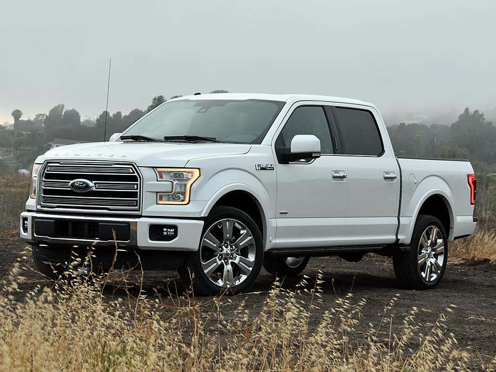 2016 Ford F-150 white driver side