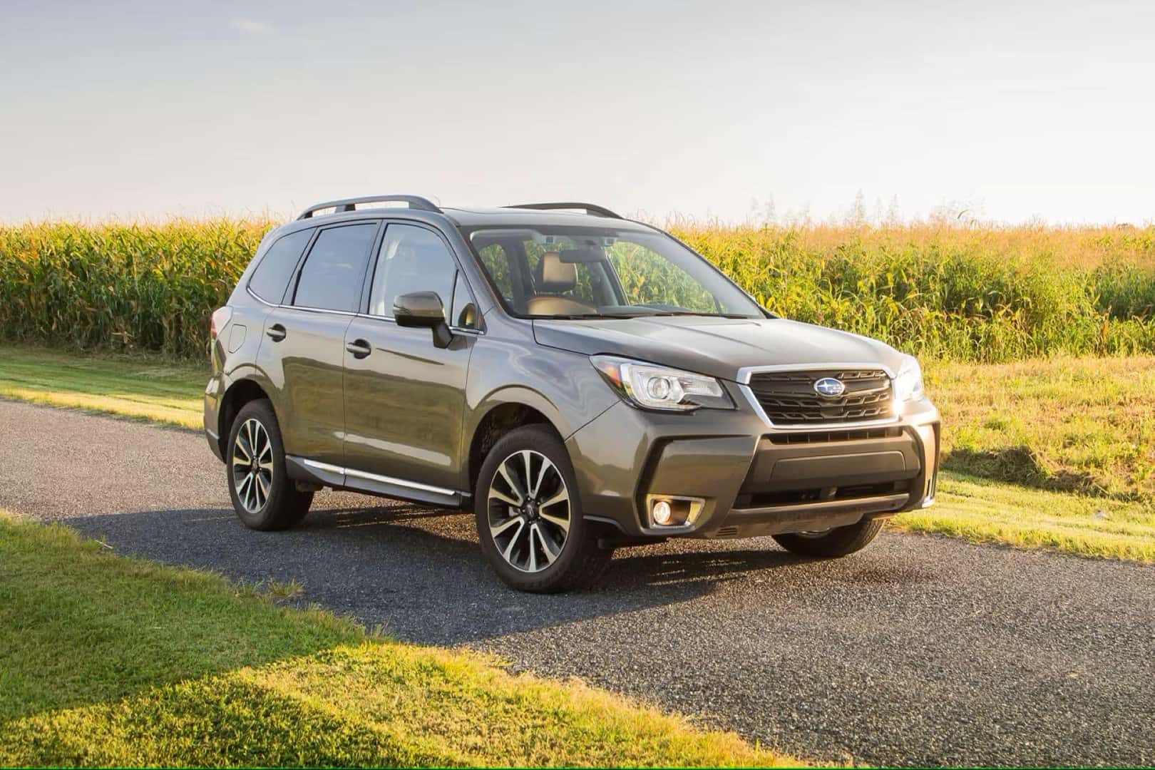 The 2018 Subaru Forester In Sublime Sunlight