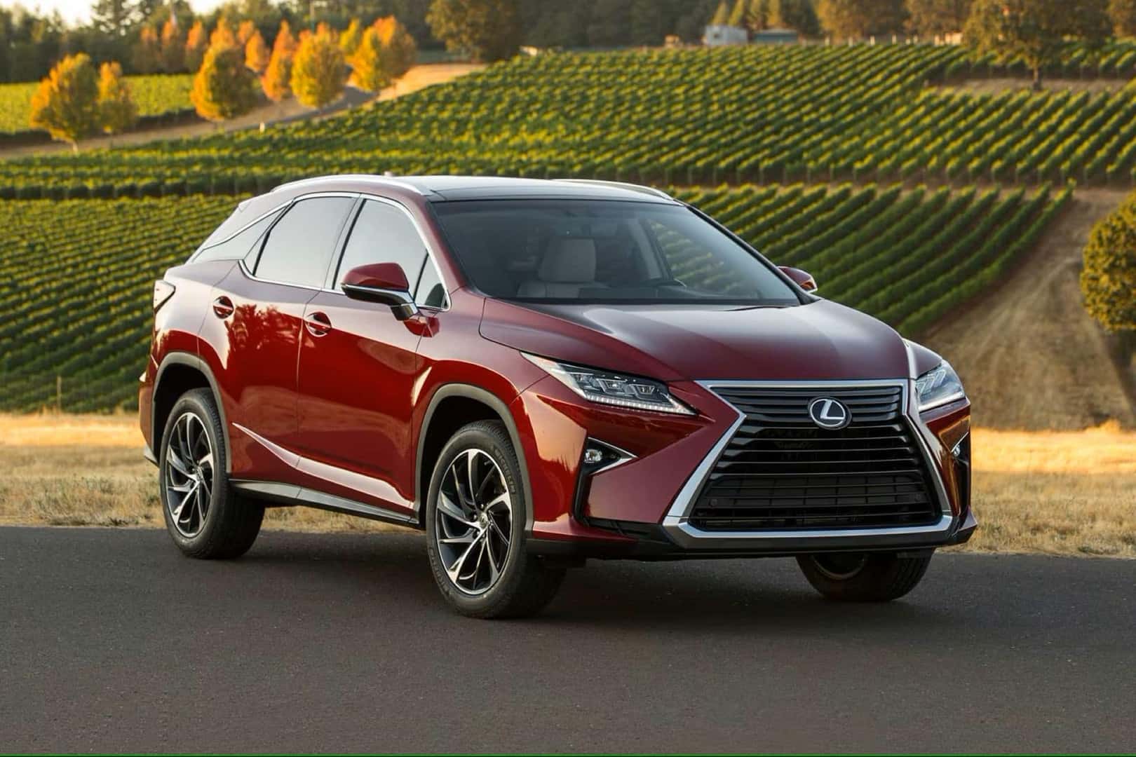 The Fantabulous Luxury SUV Under $30,000, The Affordable 2017 Lexus RX
