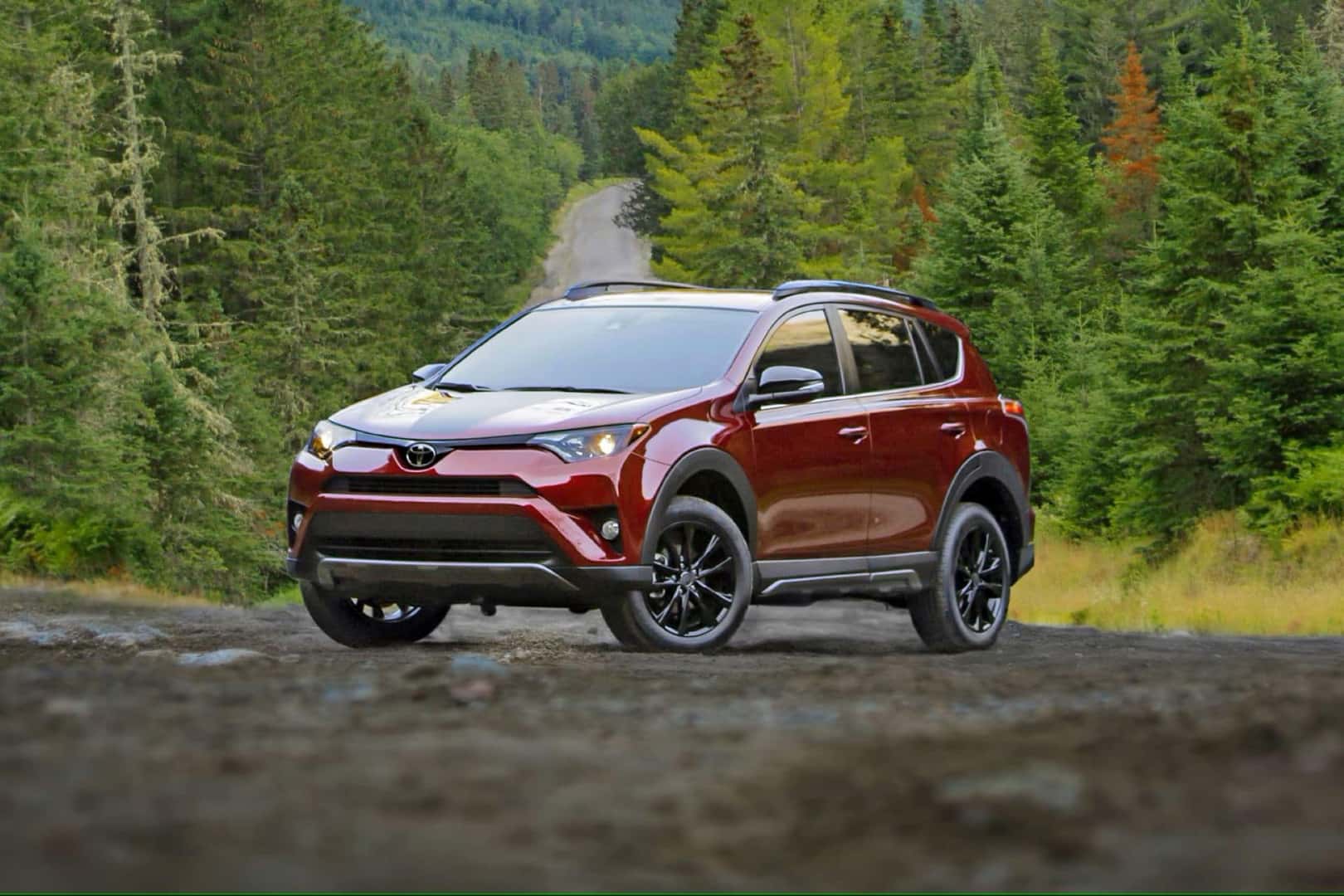 The 2018 Toyota 4-Runner Parked Majestically In A Forest