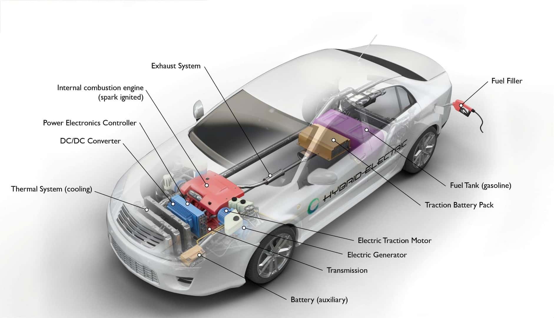 The Labeled Parts Of A Regular Hybrid Infographic