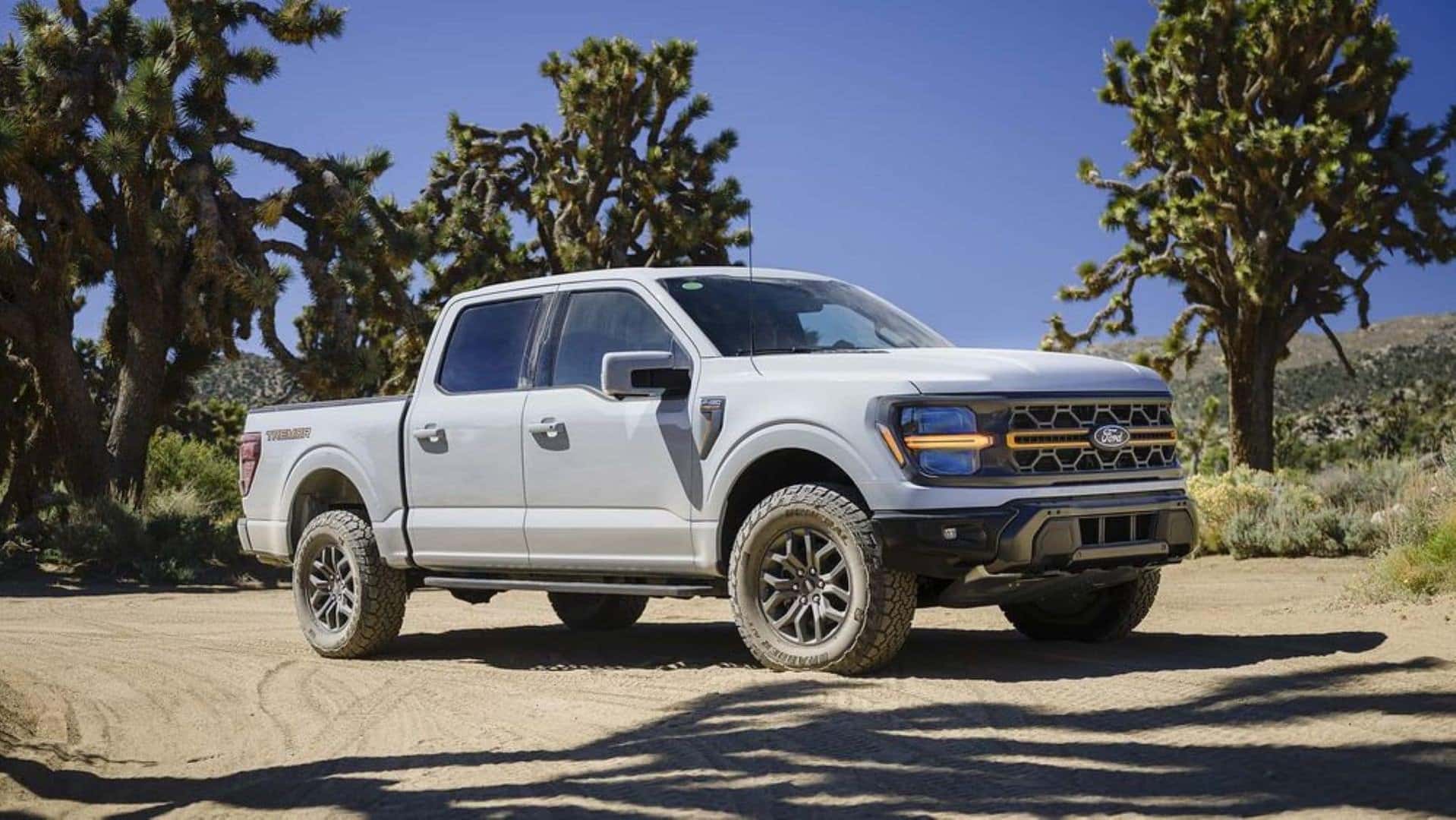 The Wonderful 2024 Ford F-150 Tremor, Parked Superiorly