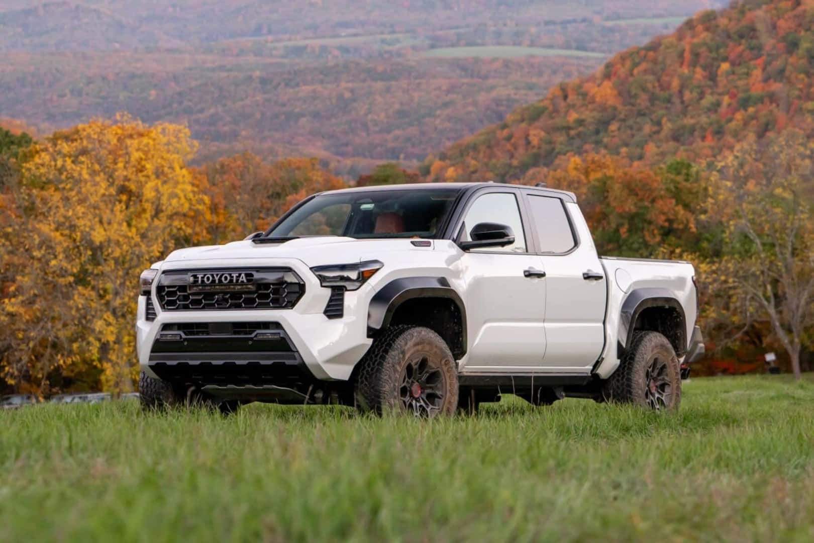 The Remarkable Toyota Tacoma, Parked In A Green Field In An Auspicious Autumn With Gorgeous Tree And Spectacular Yellow Mountains