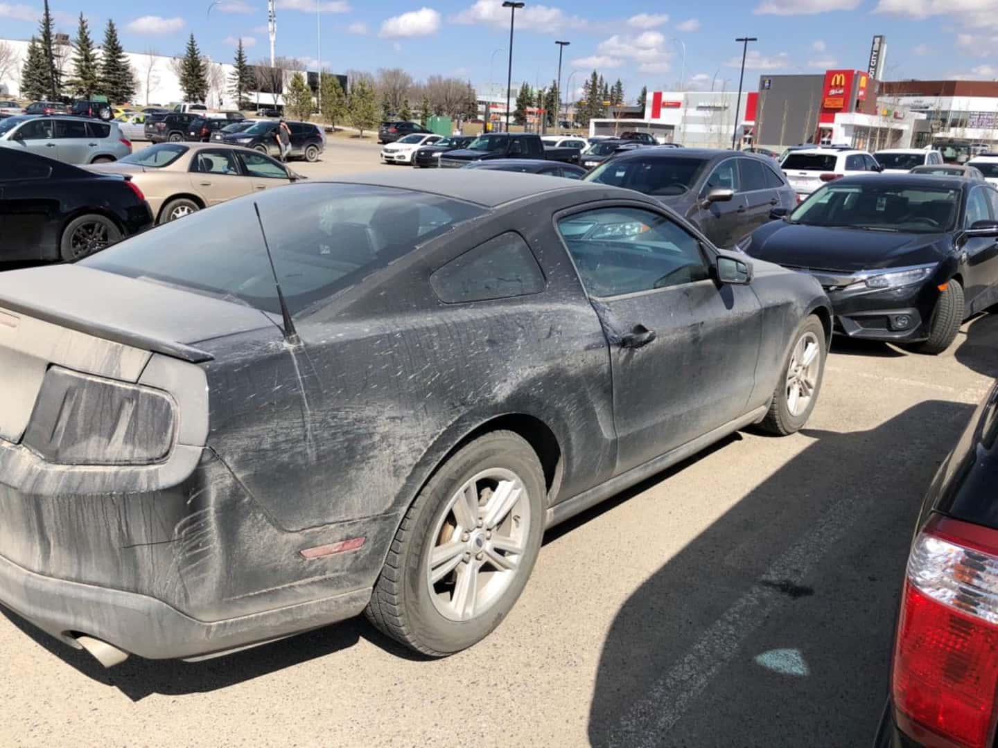The Visible And Contrasting Dirt On The Surface Of The Ford Mustang's Black Exterior