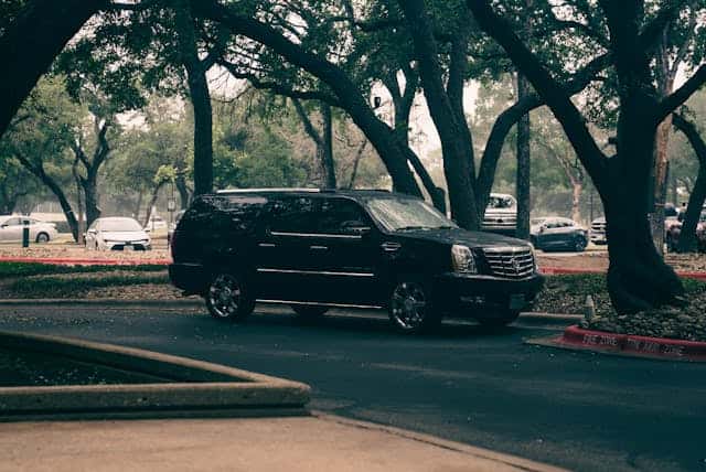 Black Cadillac Escalade Parked Under Trees in Fire Zone
