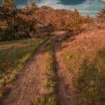 brown footpath at daytime