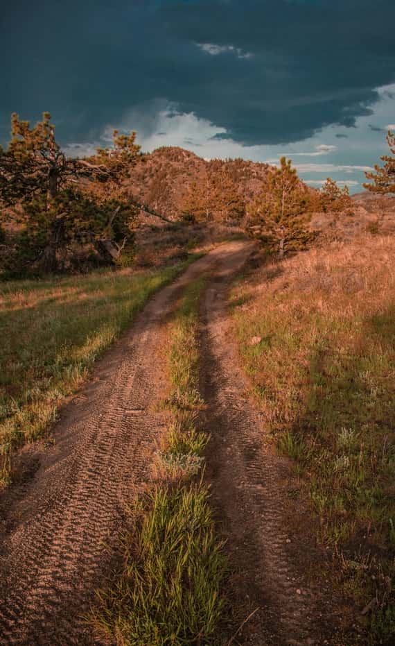 brown footpath at daytime