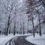 empty roadway between trees covered by snow
