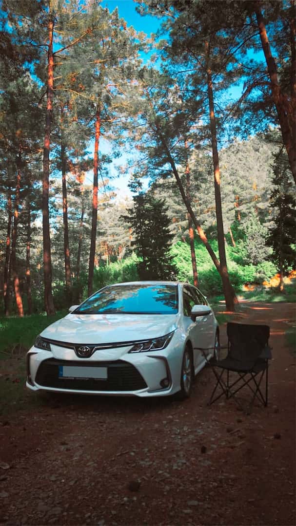 white Toyota car parked near trees during daytime