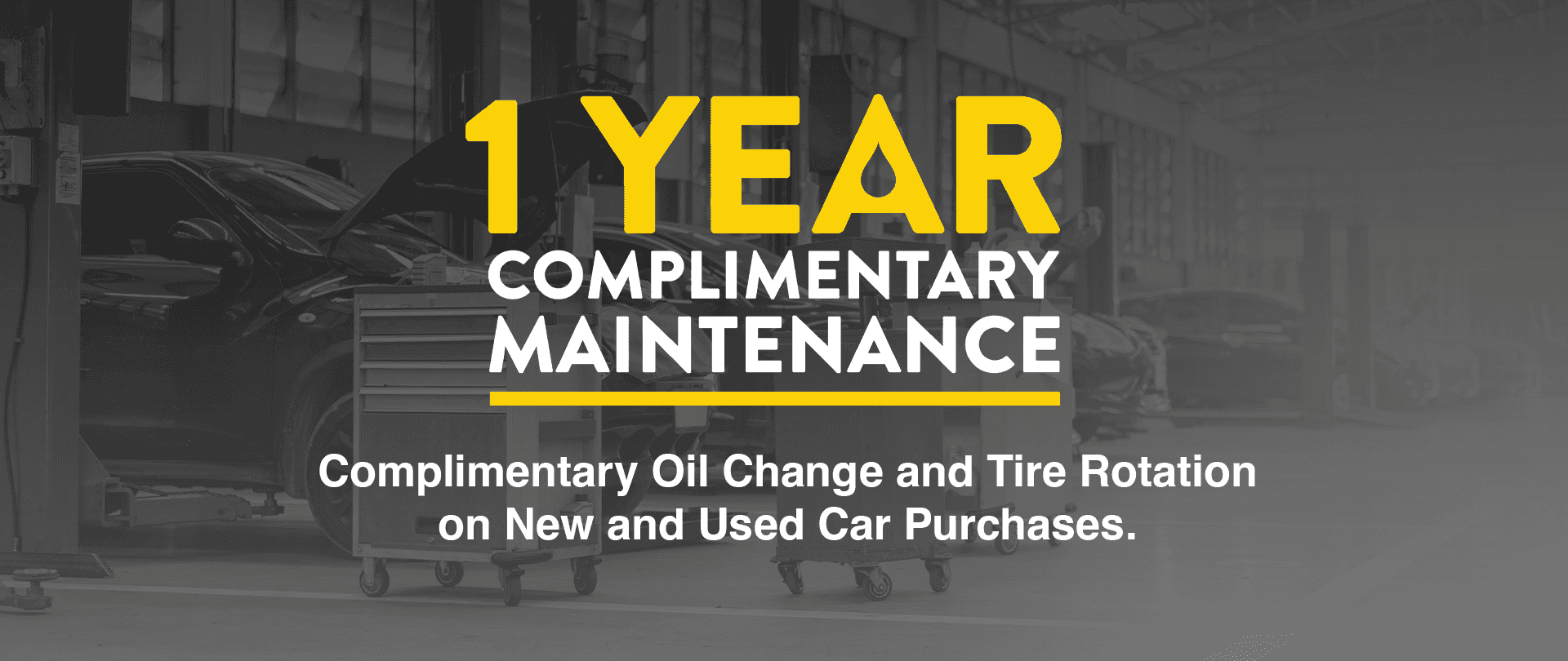 1-year complimentary maintenance