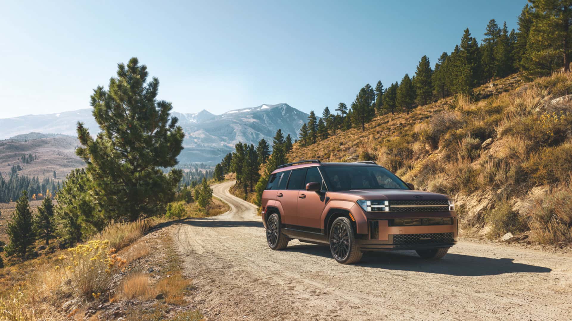 2026 Hyundai Santa Fe Hybrid parked on a mountain road with forest and scenic peaks in the background.