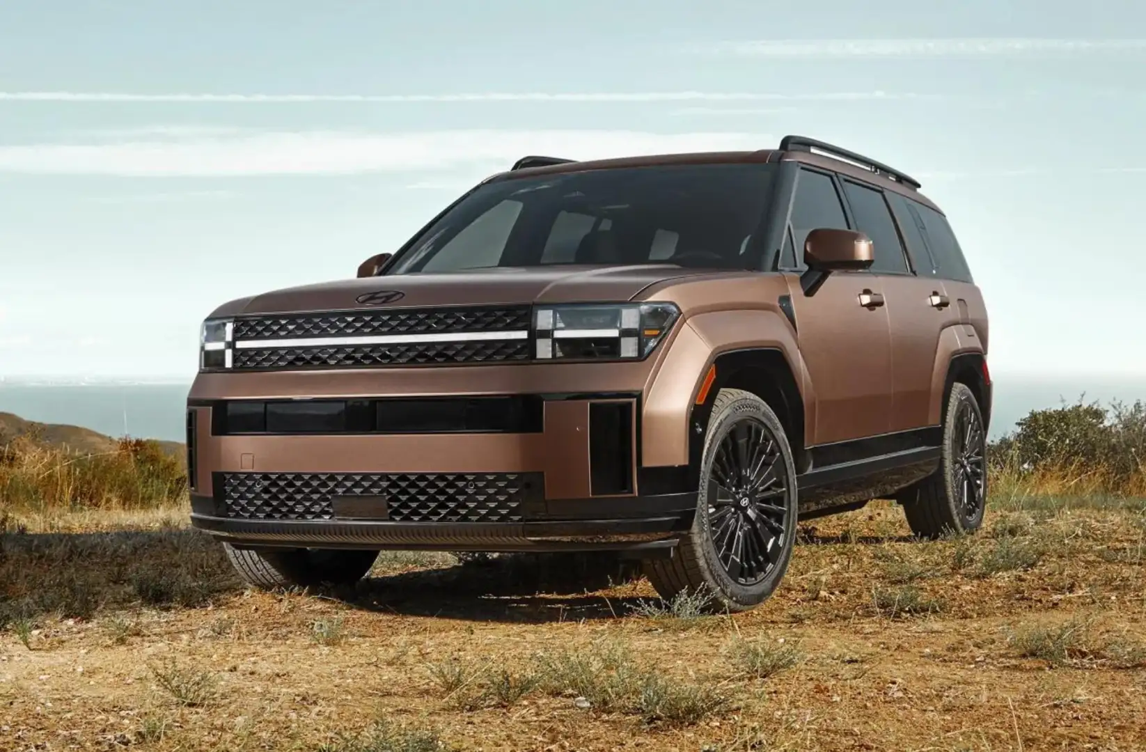 2025 Hyundai Santa Fe in bronze parked on a scenic grassy hilltop.