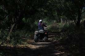 person riding four wheel atv on an atv trail