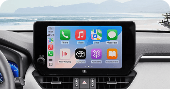 10.5-In. Multimedia Display