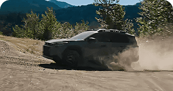 3D Multi-Terrain Monitor