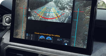 3D Multi-Terrain and Panoramic View Monitors