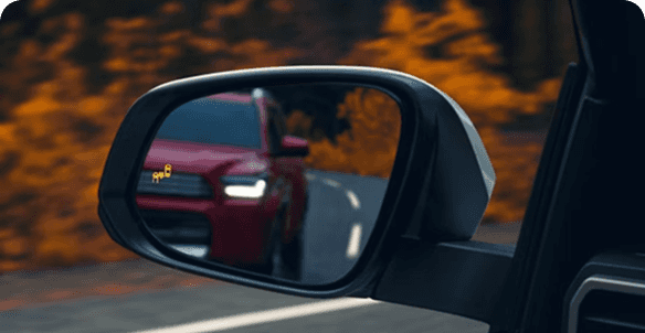 Blind Spot Monitor With Rear Cross-Traffic Alert