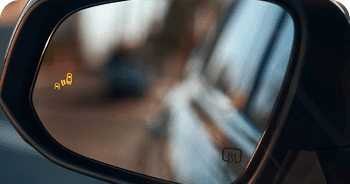 Blind Spot Monitor With Rear Cross-Traffic Alert