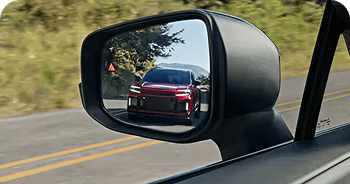 Blind Spot Monitor With Rear Cross-Traffic Alert