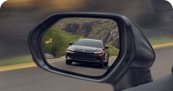 Blind Spot Monitor w/Rear Cross-Traffic Alert