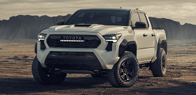 Built for the bold
