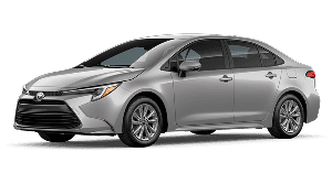 Hybrid XLE