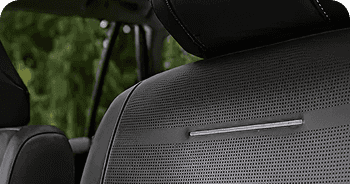 Power-Adjustable SofTex-Trimmed Seats