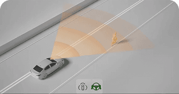 Proactive Driving Assist