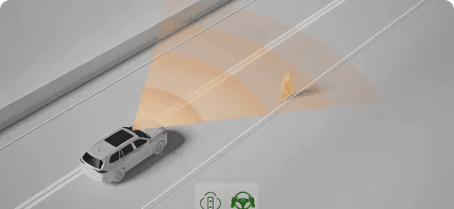 Proactive Driving Assist