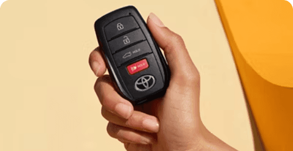 Smart Key System