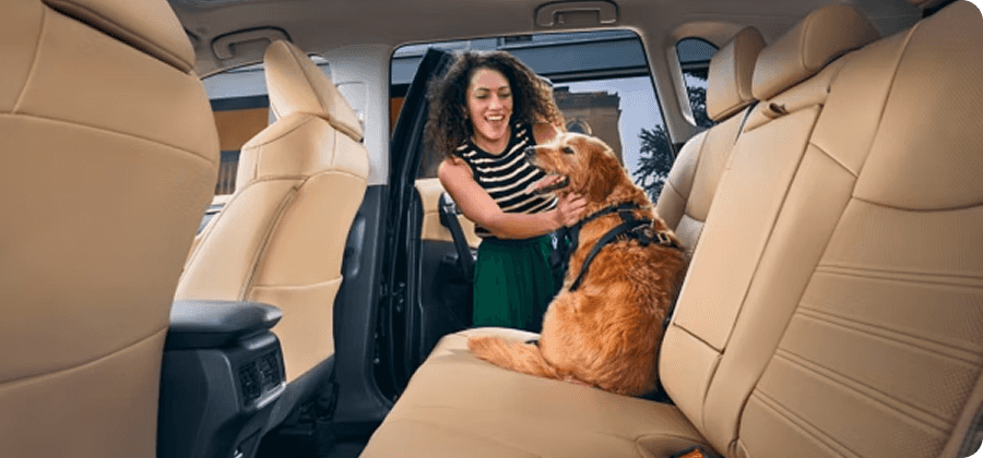 SofTex-Trimmed Seats