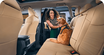 SofTex-Trimmed Seats