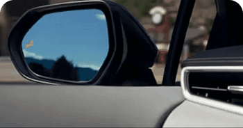 Standard Blind Spot Monitor With Rear Cross-Traffic Alert