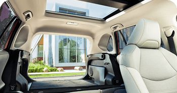 Versatile Interior