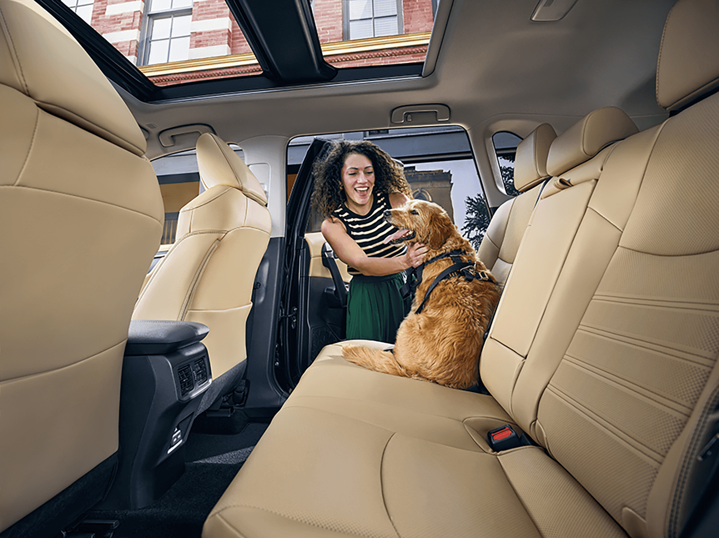 2025 Toyota RAV4 interior back seats