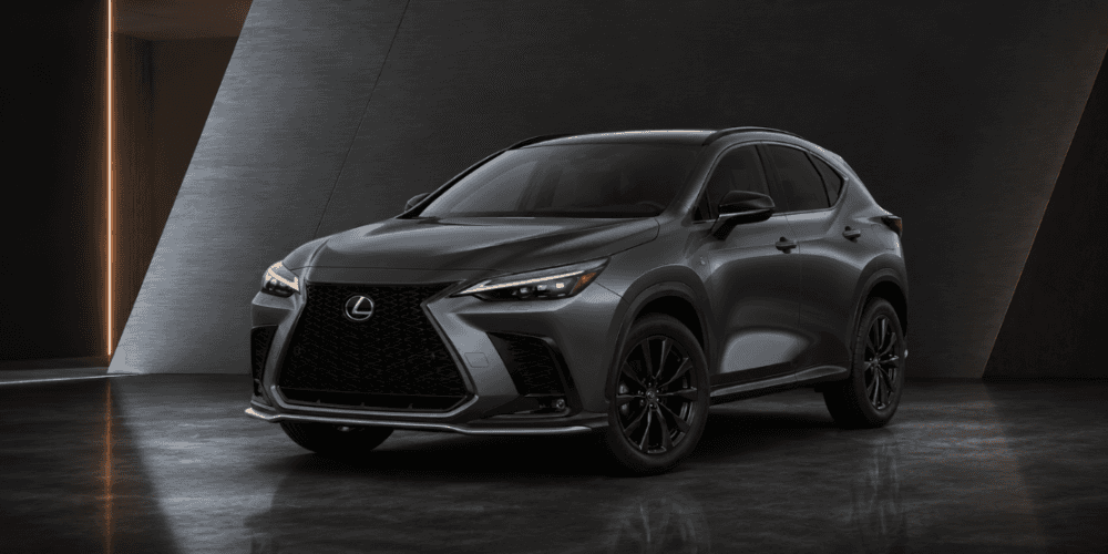 2026 Lexus NX in a sleek modern studio