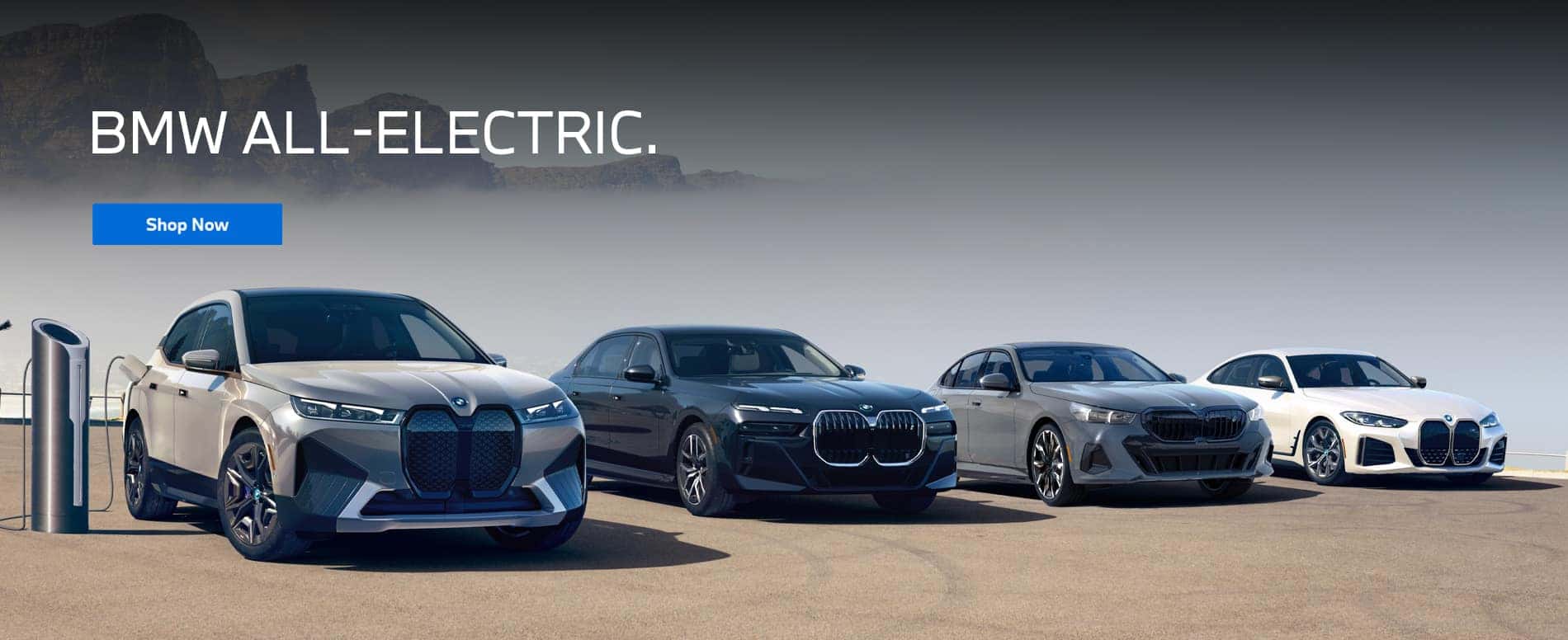 BMW All-Electric