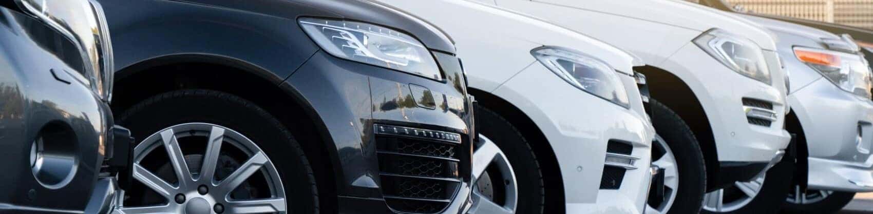 Used Car Dealer
