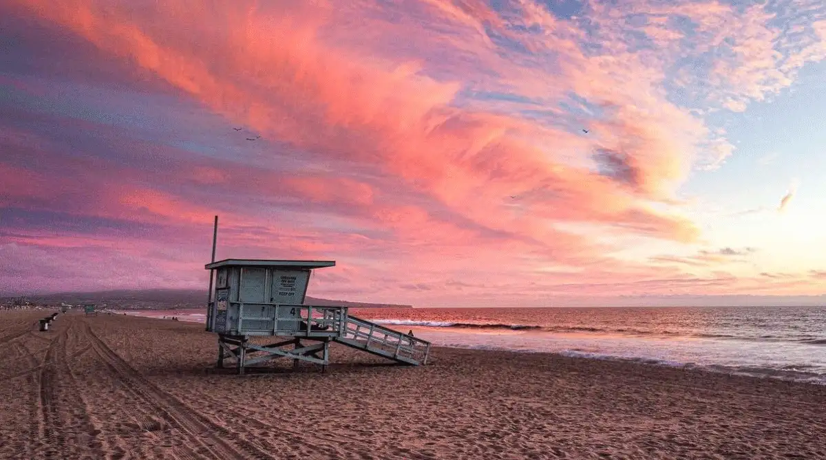 Summer Activities in Los Angeles