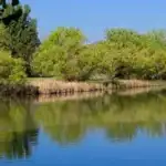 lakewood colorado lake