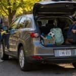 Back-to-School Rides: Best Used Cars for Twin Cities Students & Families