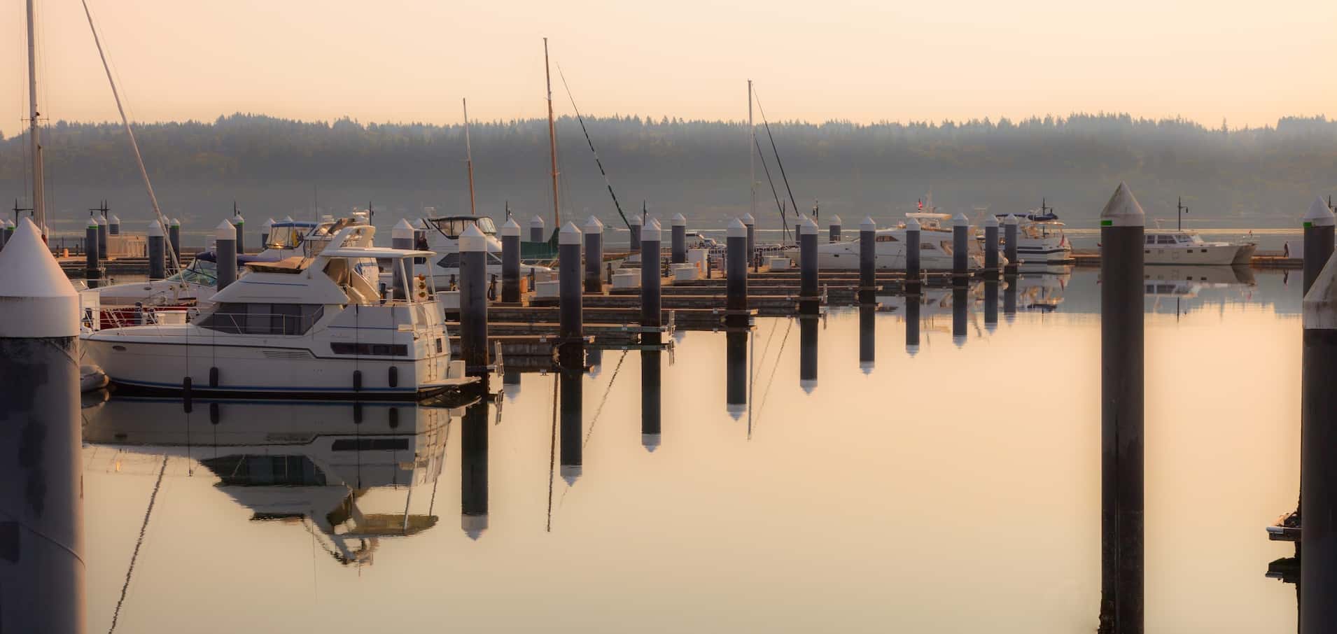Bremerton Marina Adventure