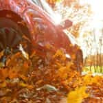 car driving through leaves in the fall