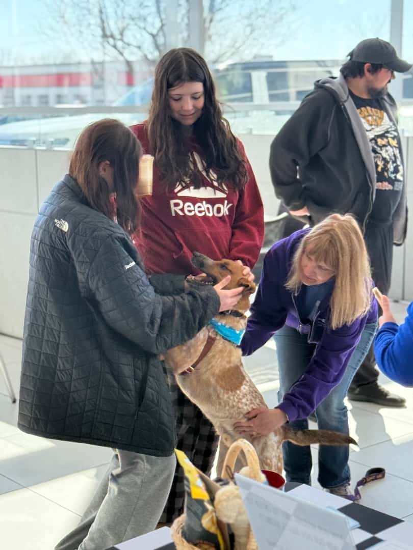 Pet lovers and families enjoying the Pit Stop for Pets event